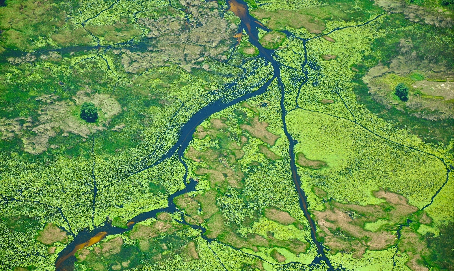 IntoAfrica-Destinos-Botsuana-02-min