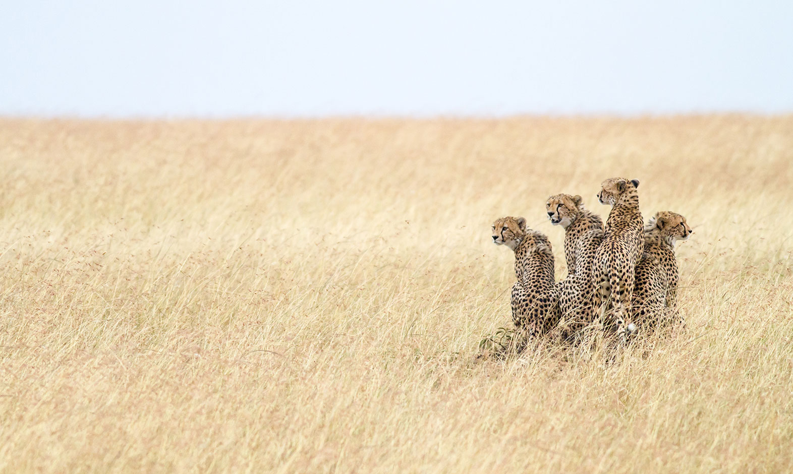 IntoAfrica-Destinos-Kenia-03-min