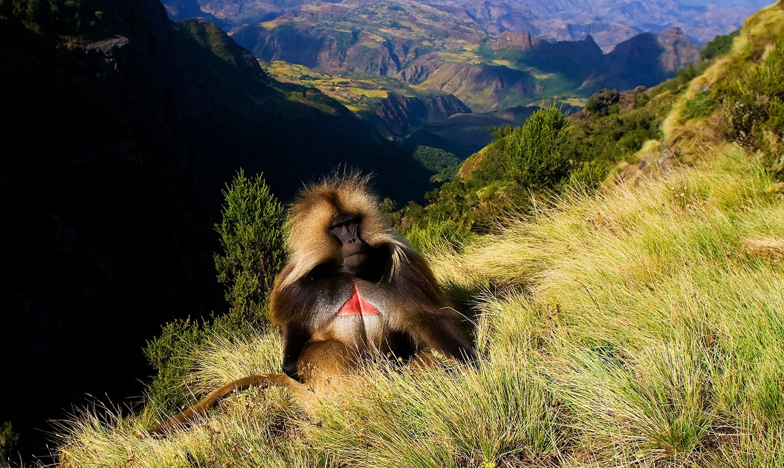 IntoAfrica-Destinos-Etiopia-02-min