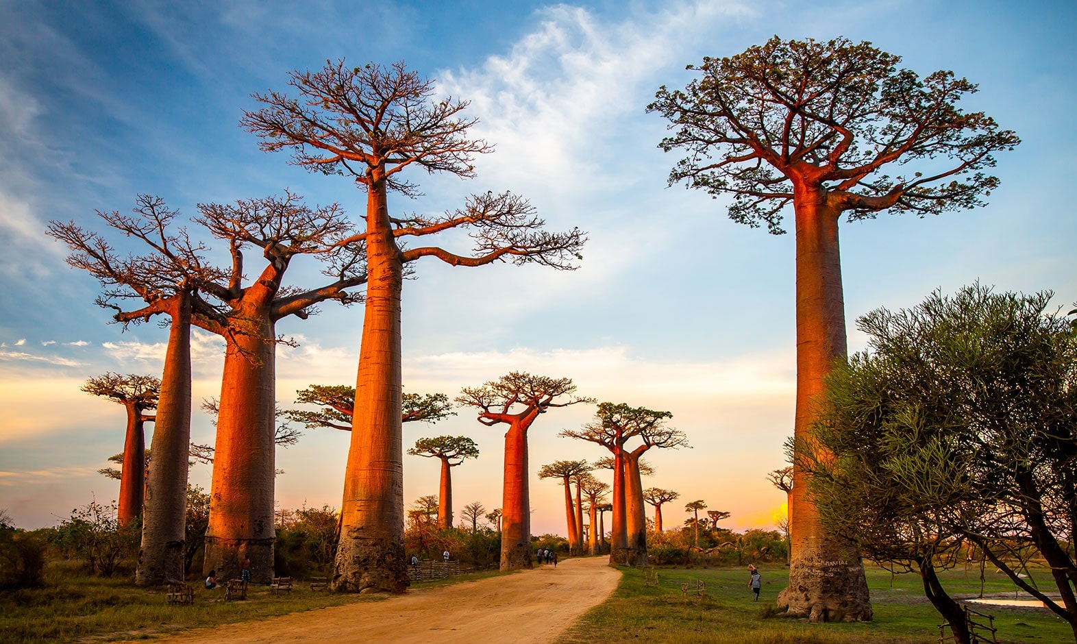 IntoAfrica-Destinos-Madagascar-02-min