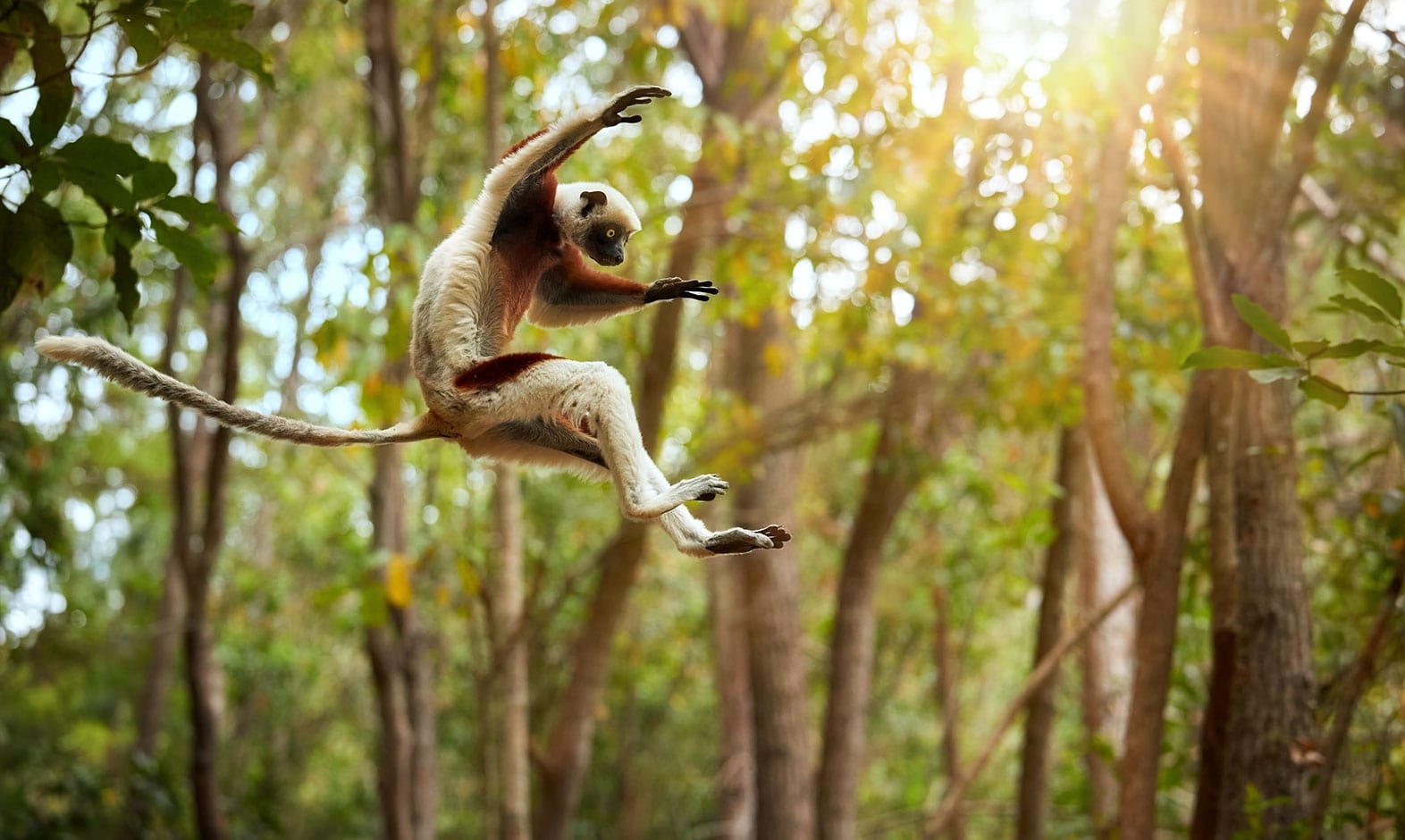 IntoAfrica-Destinos-Madagascar-03-min