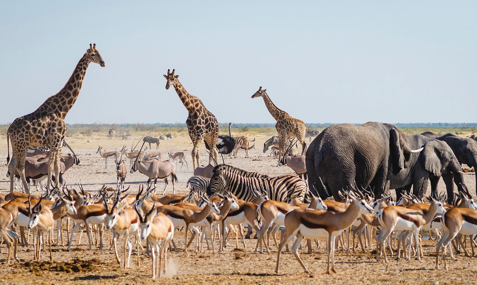 IntoAfrica-Destinos-Namibia-03-min