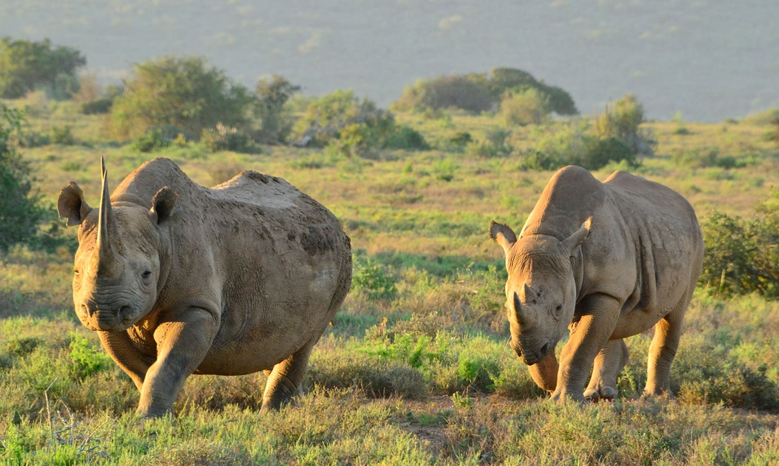 IntoAfrica-Destinos-Sudafrica-02-min