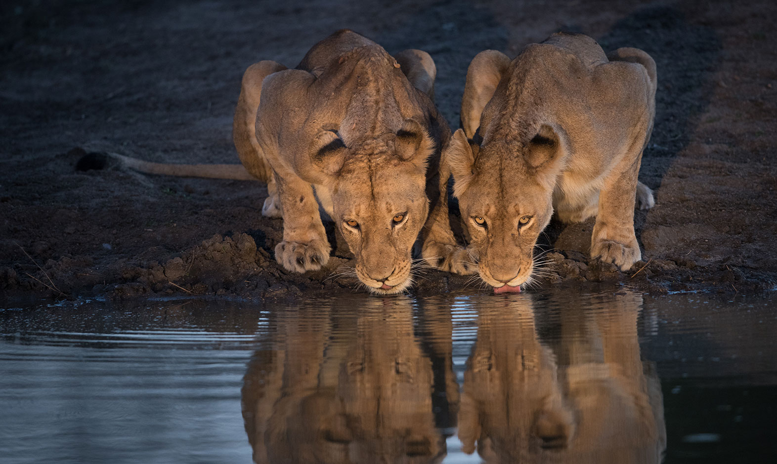 IntoAfrica-Destinos-Sudafrica-03-min