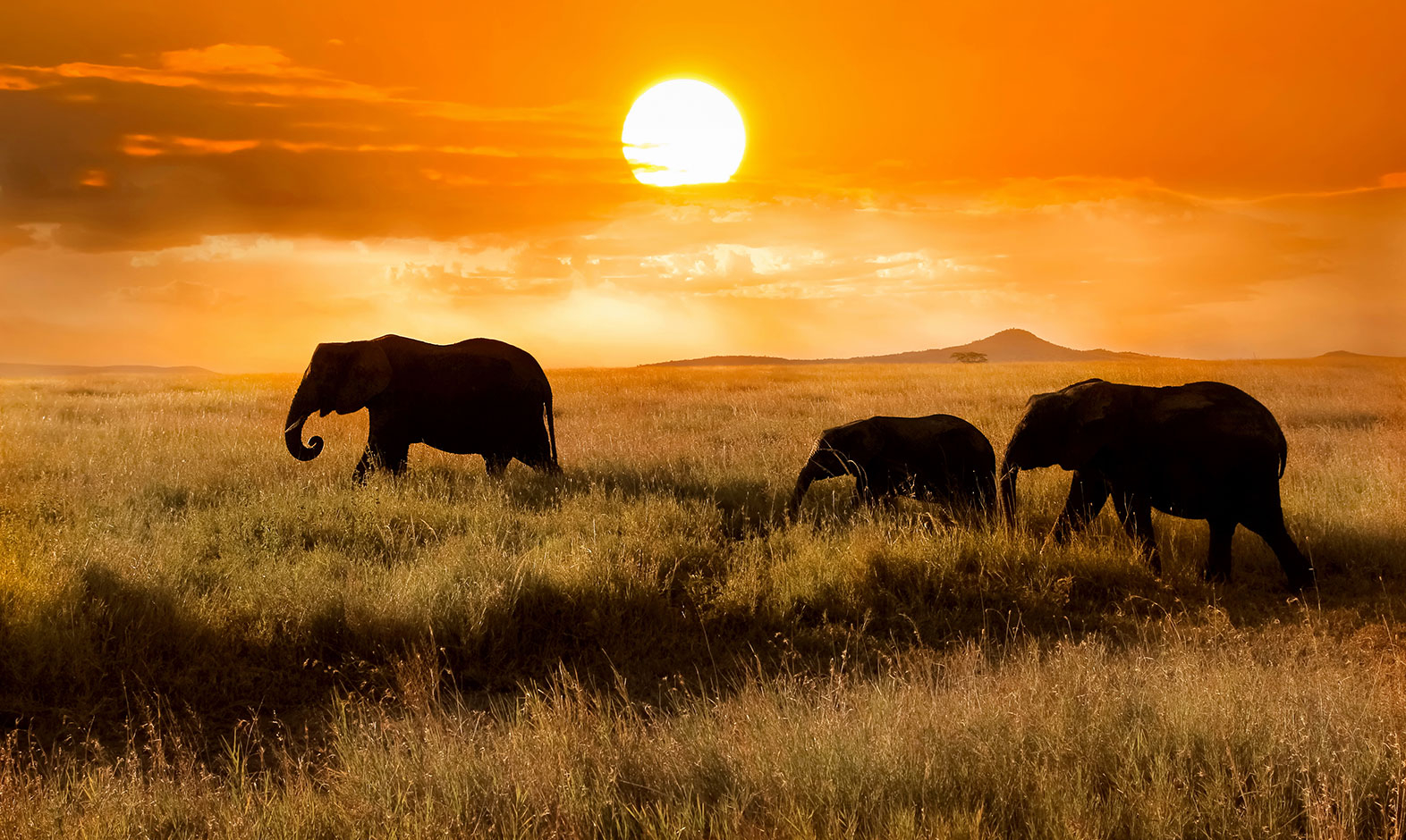 IntoAfrica-Destinos-Tanzania-02-min