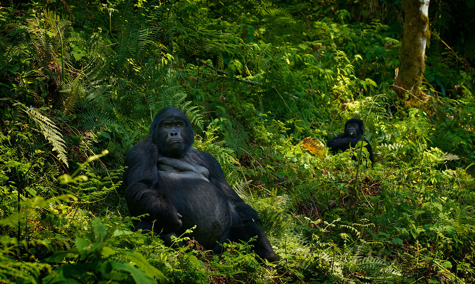 IntoAfrica-Destinos-Uganda-03