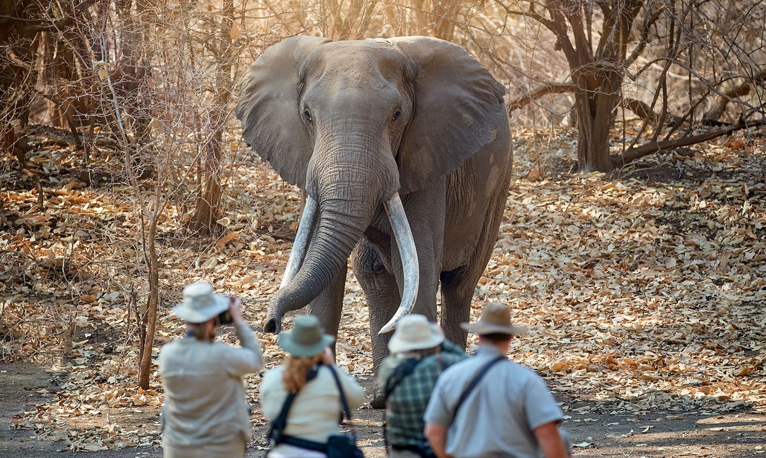 IntoAfrica-Destinos-Zimbabue-02-min