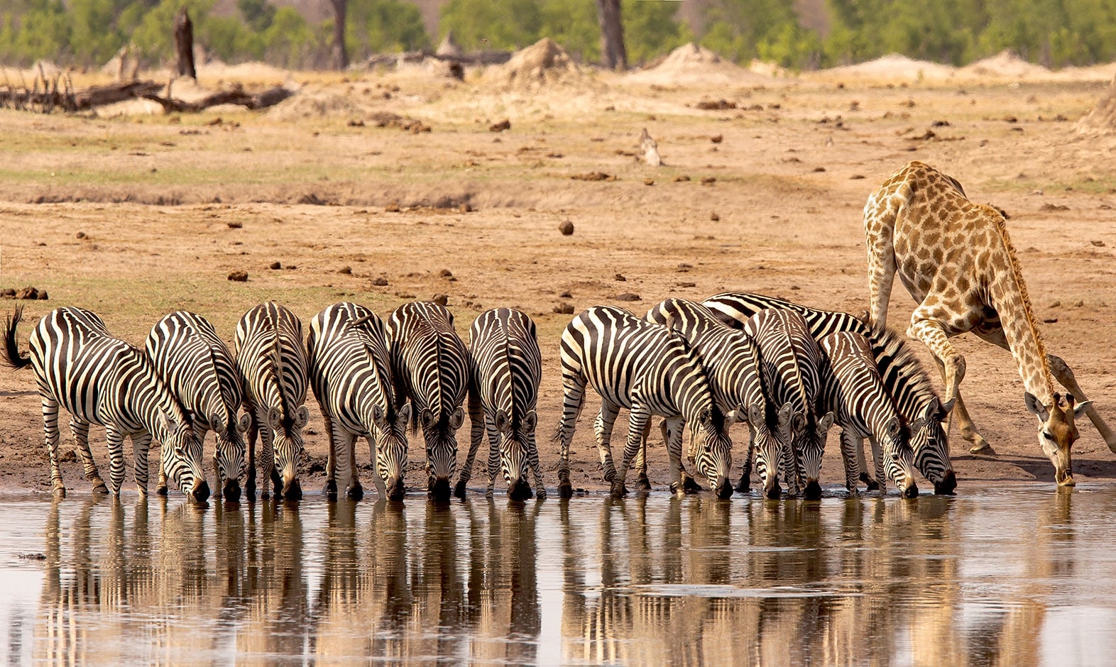 IntoAfrica-Destinos-Zimbabue-03-min