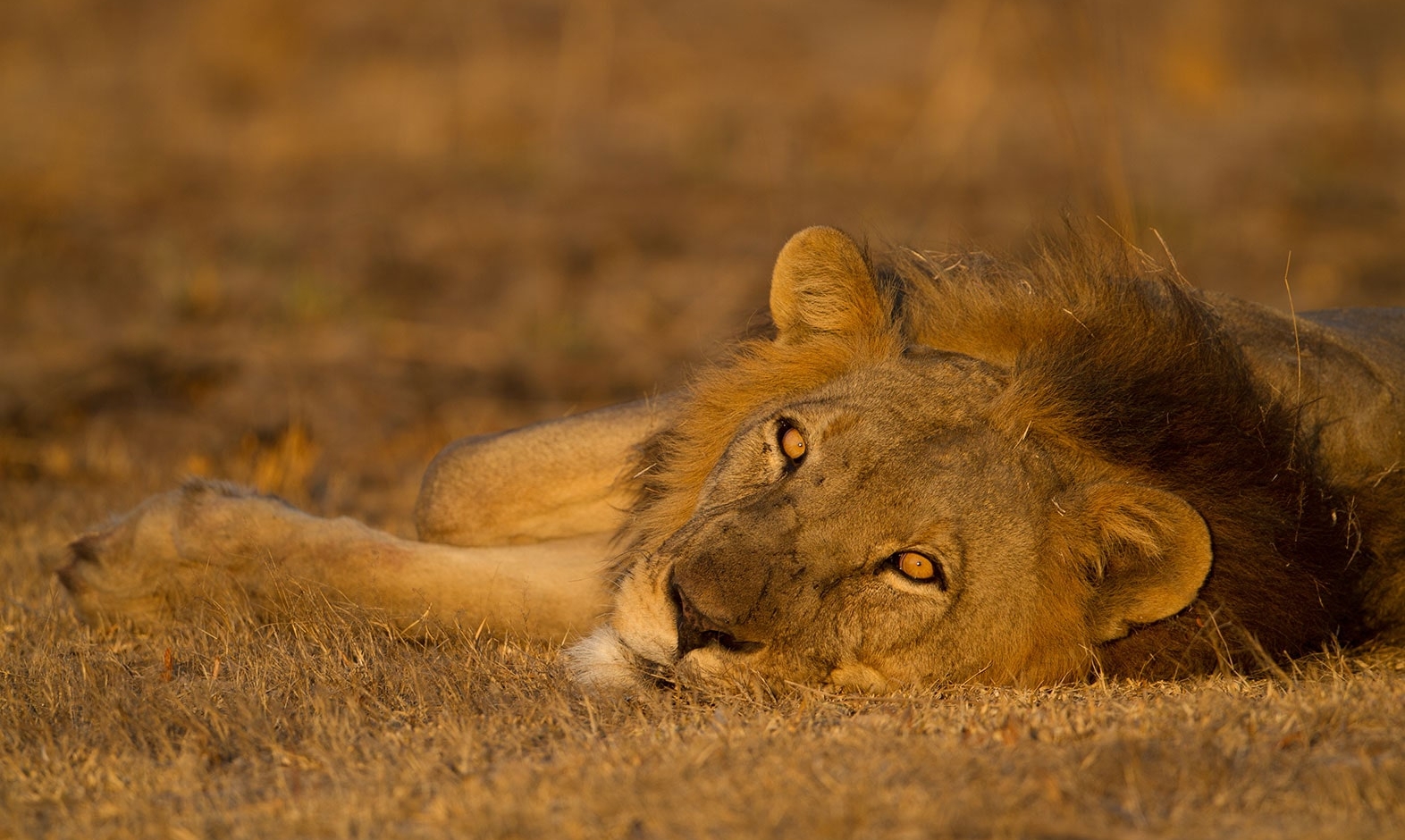 IntoAfrica-Experiencias-Zambia-Rincones-03-min