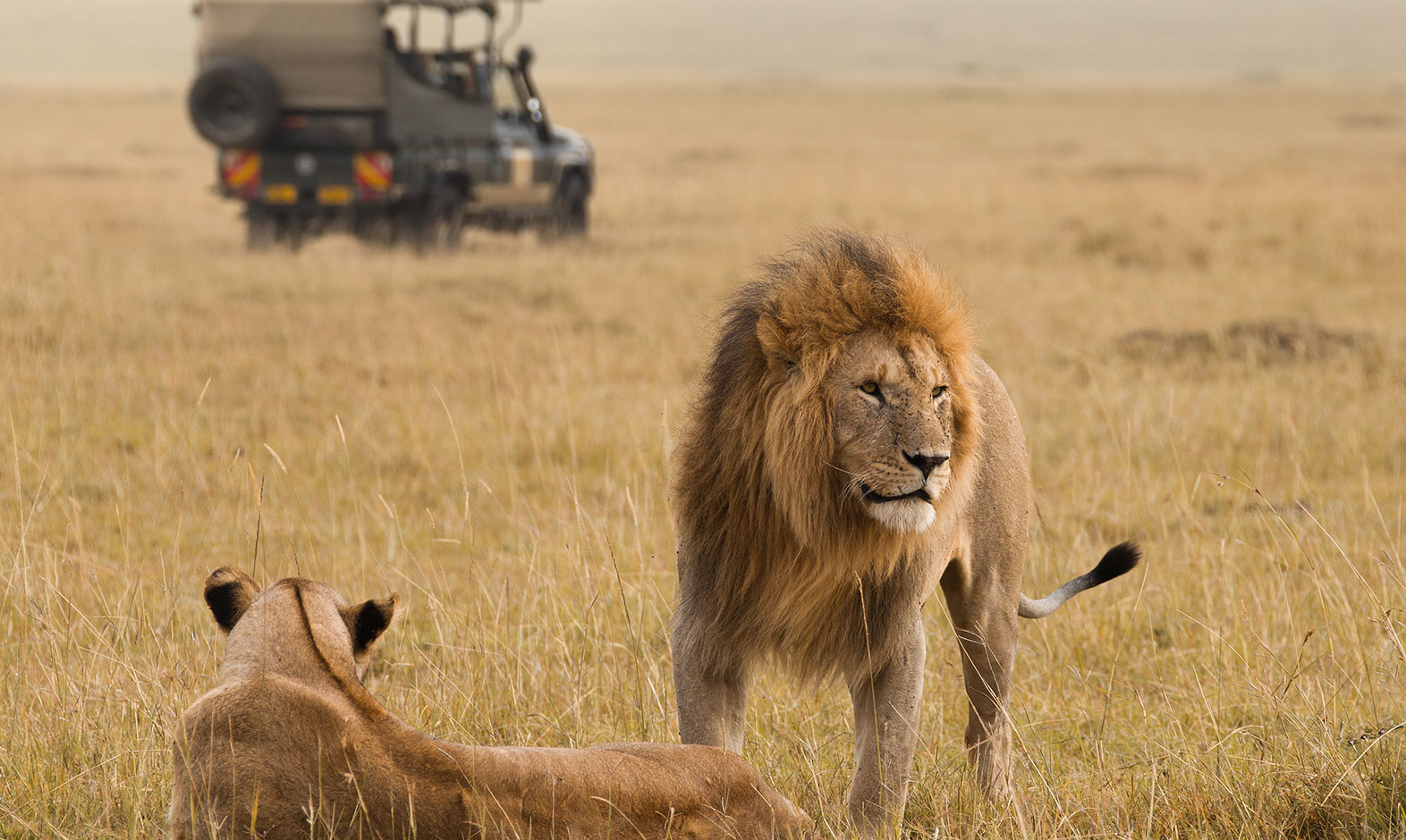 IntoAfrica-Experiencias-Primates-GranMigracion-02-min