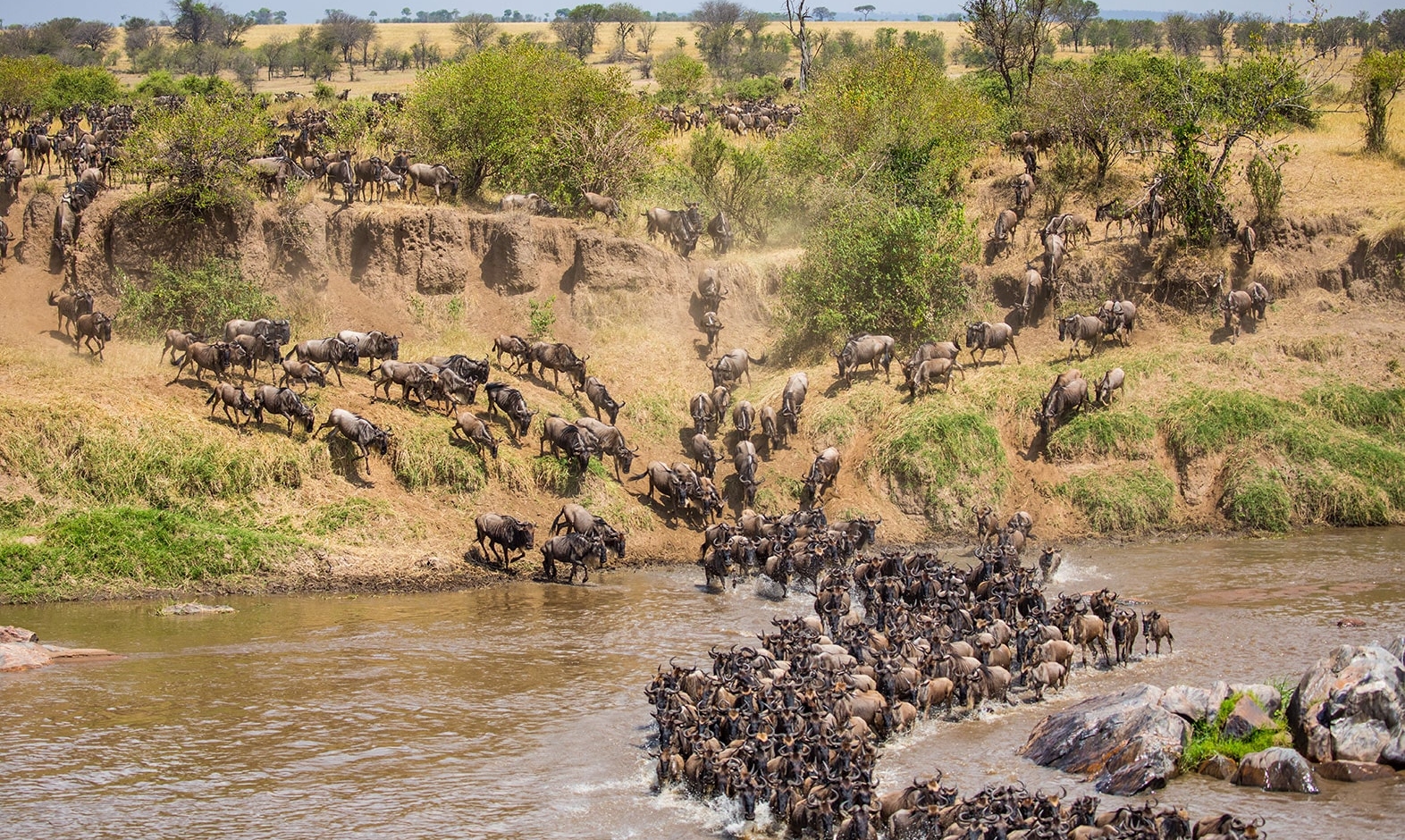 IntoAfrica-Experiencias-Primates-GranMigracion-03-min