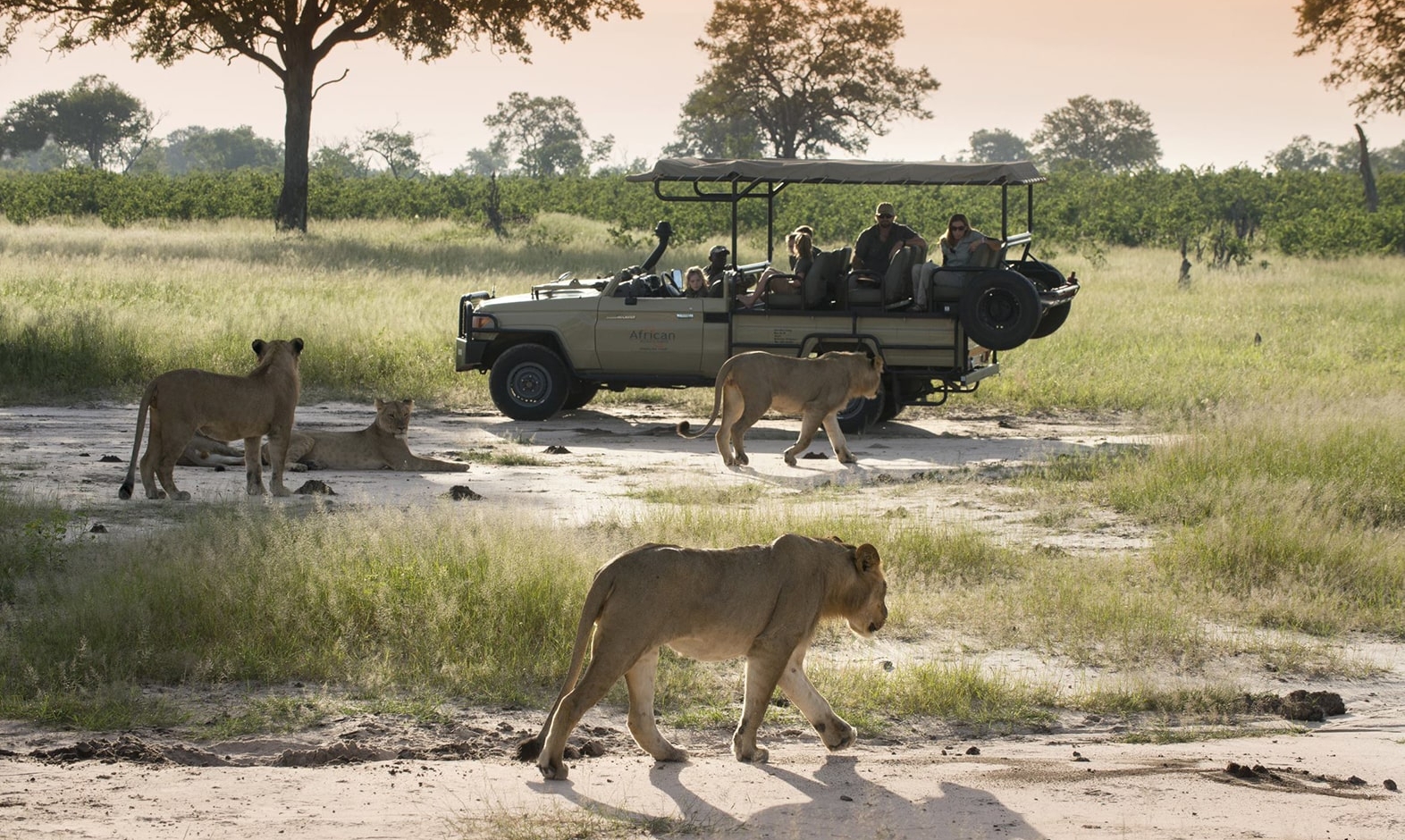 IntoAfrica-Experiencias-Zimbabue-Fascinante-00003-min