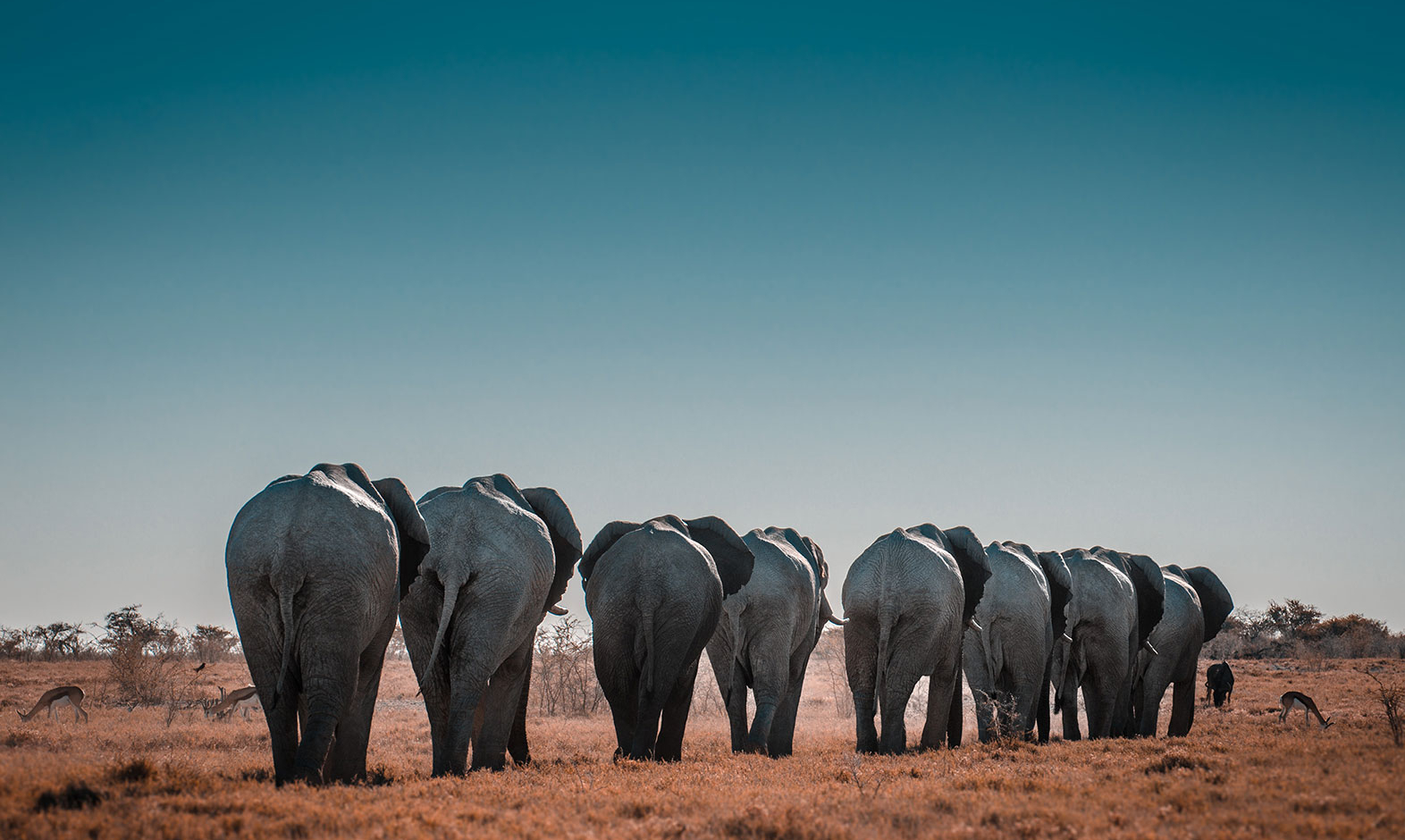 IntoAfrica-Experiencias-Namibia-Inolvidable-02-min