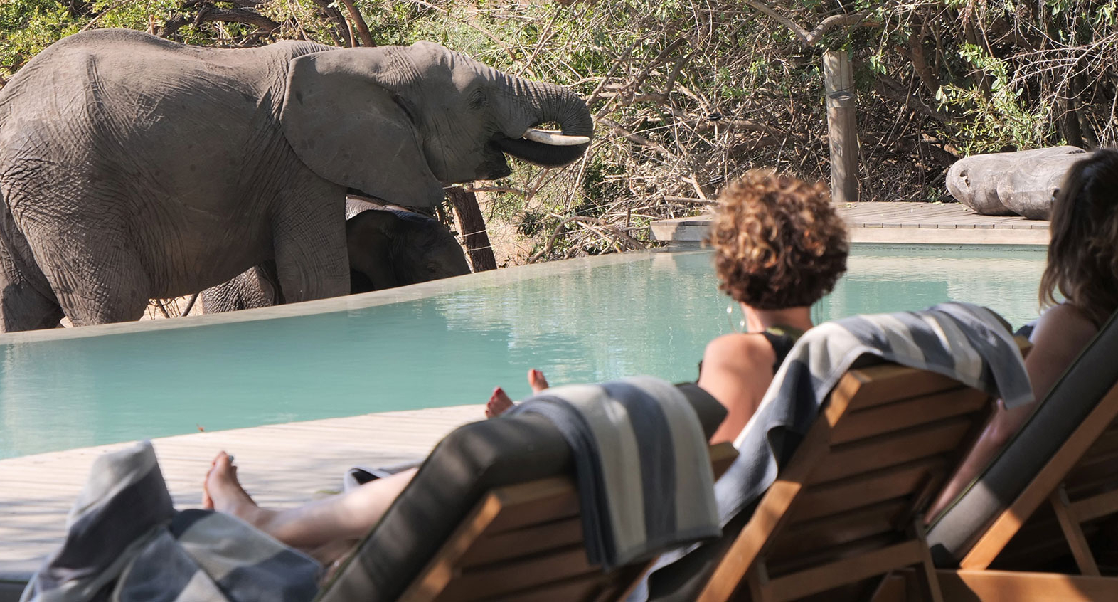 IntoAfrica-Experiencias-Sudafrica-5Grandes-01-min
