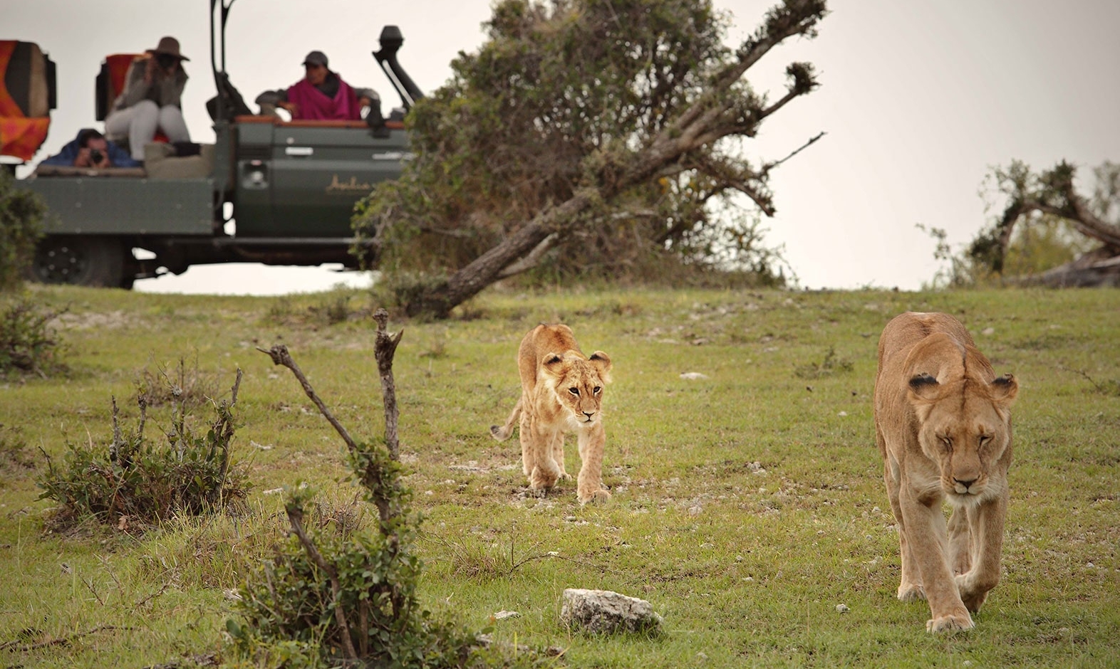 IntoAfrica-Experiencias-Kenia-Lujo-02-min