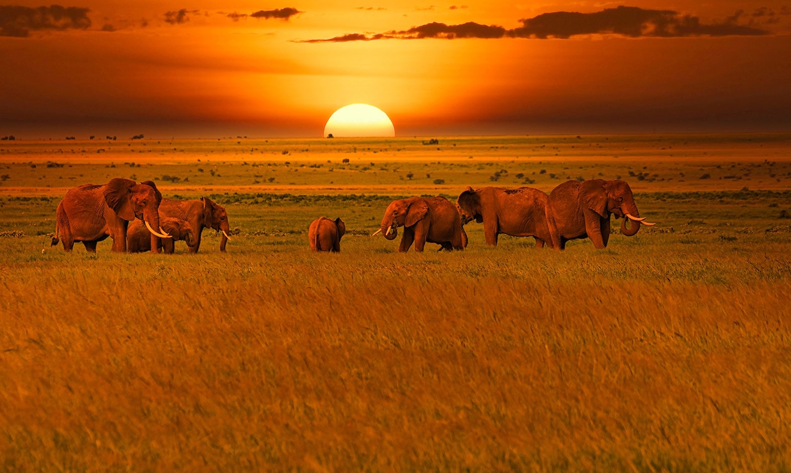 IntoAfrica-Experiencias-LunaDeMiel-Cultura-Playa-Safari-02-min