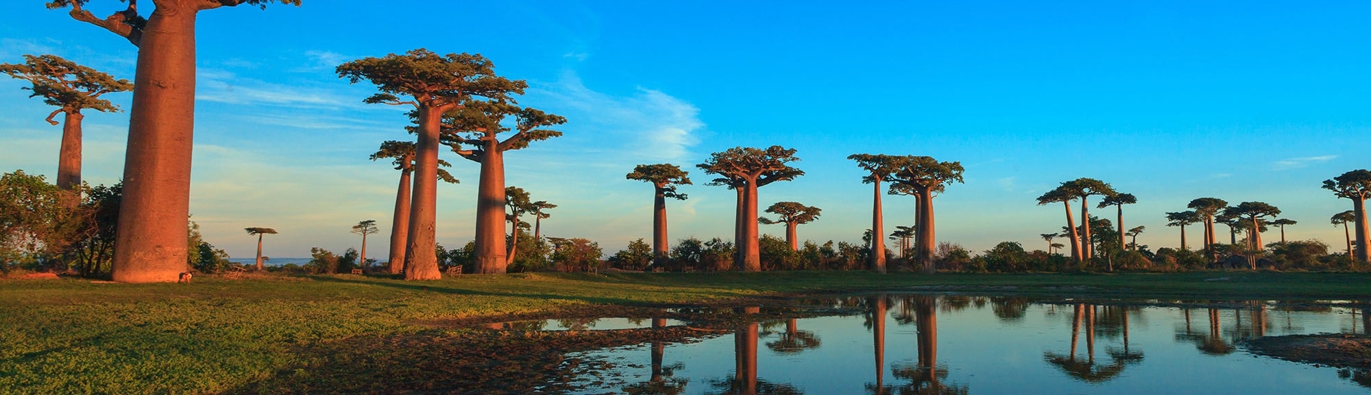 IntoAfrica-Destinos-Madagascar-Destacada-min