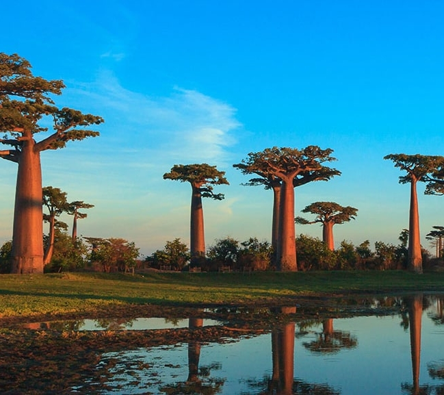 IntoAfrica-Destinos-Madagascar-Destacada-min