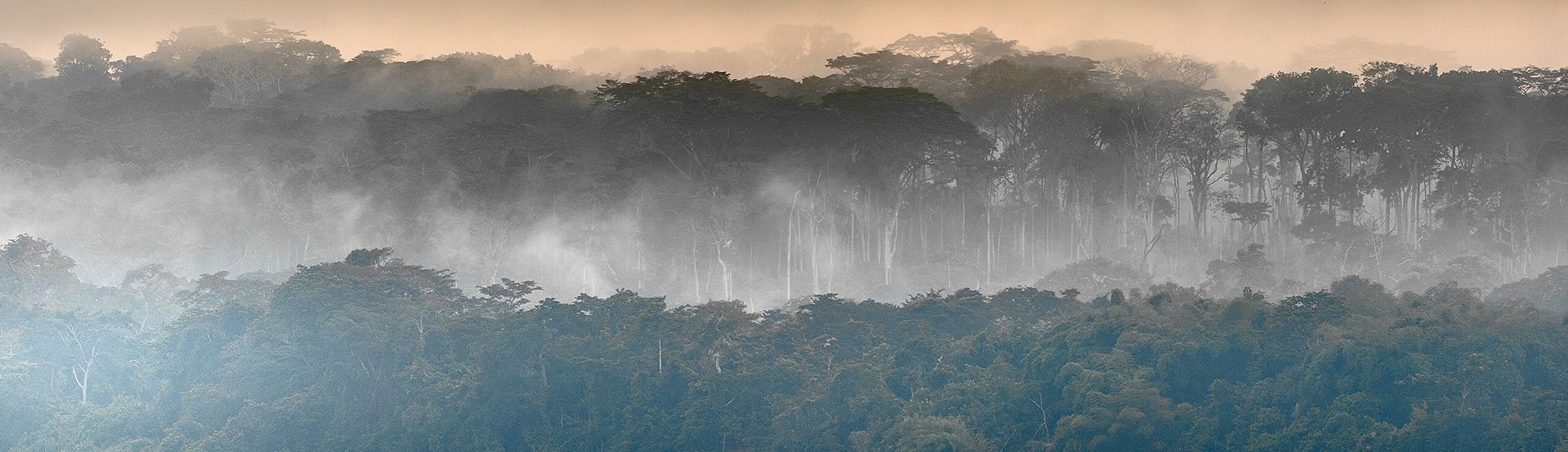 IntoAfrica-Destinos-ElCongo-Gabon-RCA-Destacada-min