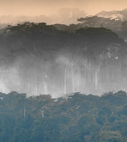 IntoAfrica-Destinos-ElCongo-Gabon-RCA-Destacada-min