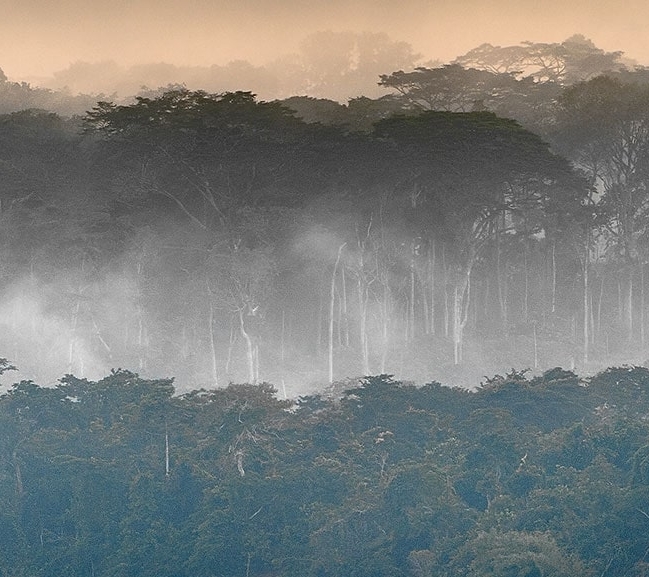 IntoAfrica-Destinos-ElCongo-Gabon-RCA-Destacada-min