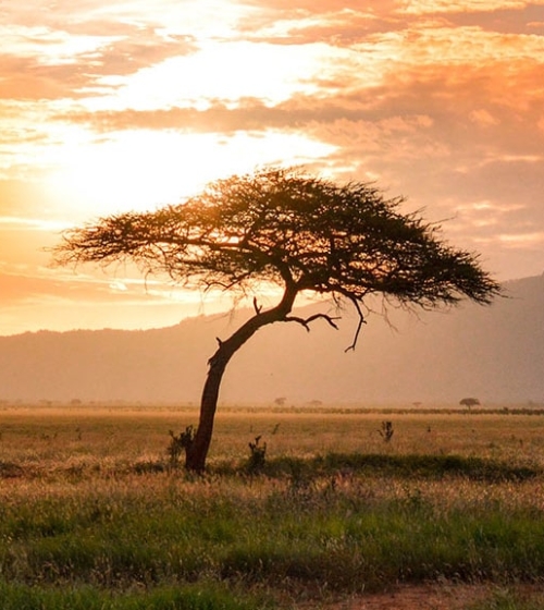 IntoAfrica-Destinos-AfricaOccidental-Destacada-min