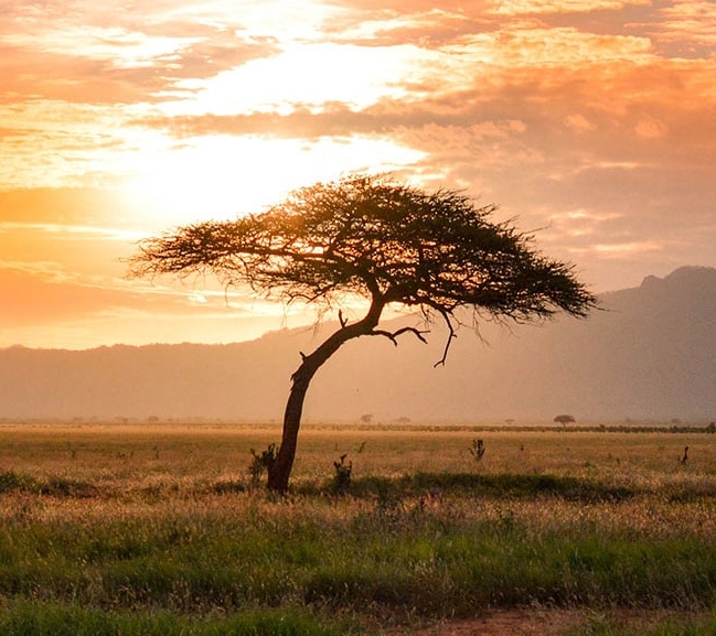 IntoAfrica-Destinos-AfricaOccidental-Destacada-min