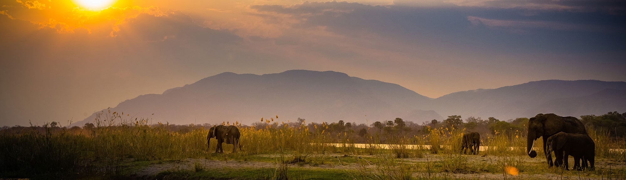 IntoAfrica-Destinos-Zambia-Destacada-min