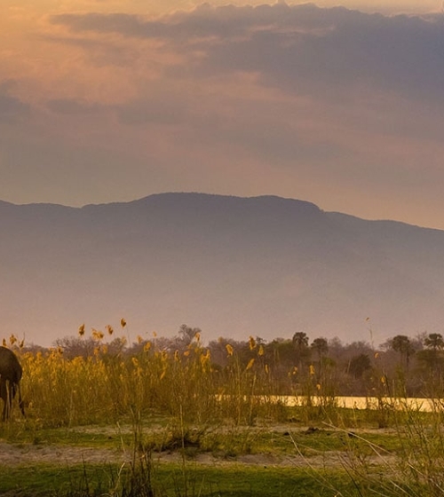 IntoAfrica-Destinos-Zambia-Destacada-min