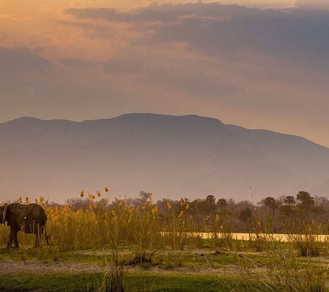 IntoAfrica-Destinos-Zambia-Destacada-min