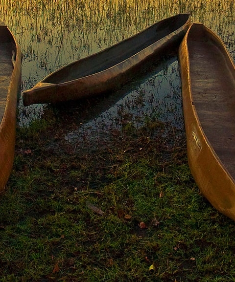 IntoAfrica-Destinos-Botsuana-Destacada-min