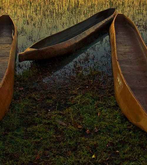 IntoAfrica-Destinos-Botsuana-Destacada-min