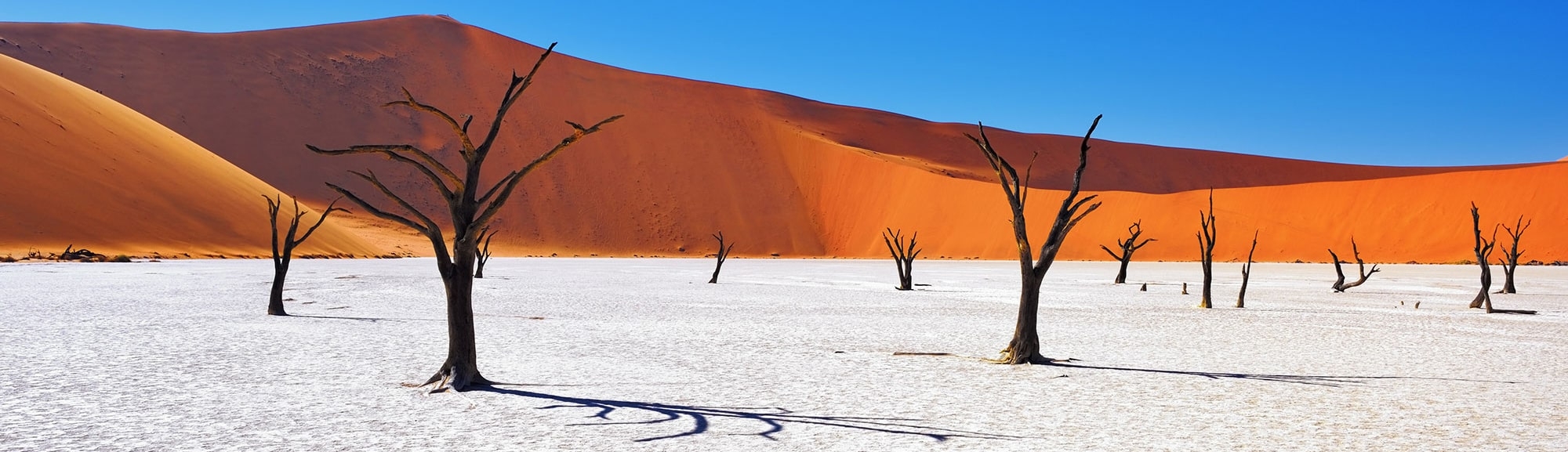 IntoAfrica-Destinos-Namibia-Destacada-min