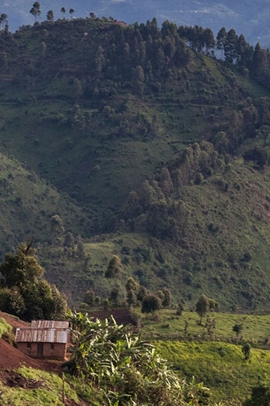 IntoAfrica-Destinos-Ruanda-Destacada-min