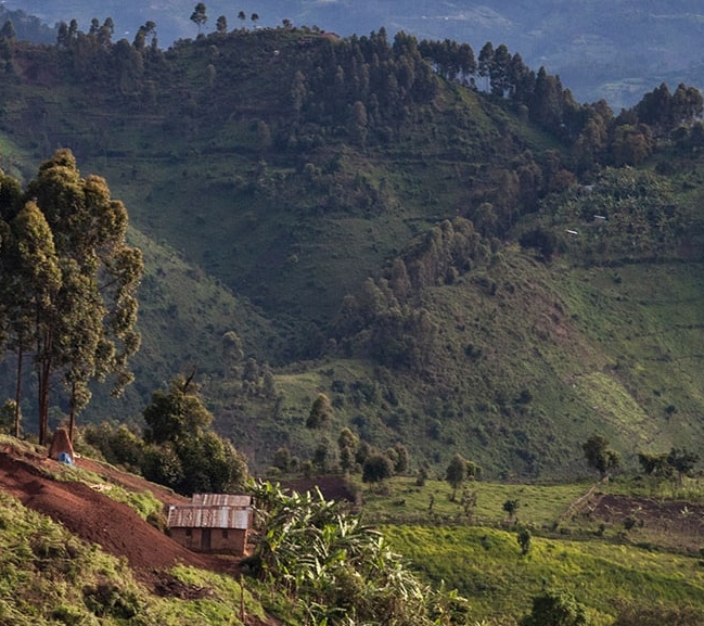 IntoAfrica-Destinos-Ruanda-Destacada-min