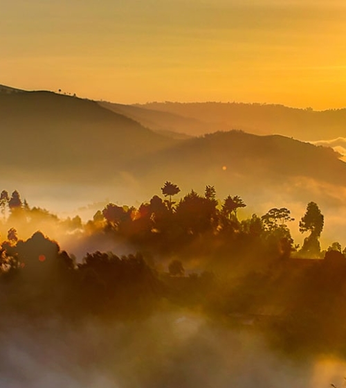 IntoAfrica-Destinos-Uganda-Destacada-min