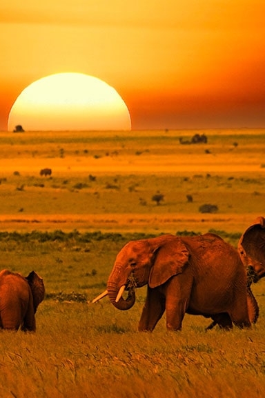 IntoAfrica-Destinos-Kenia-Destacada-min