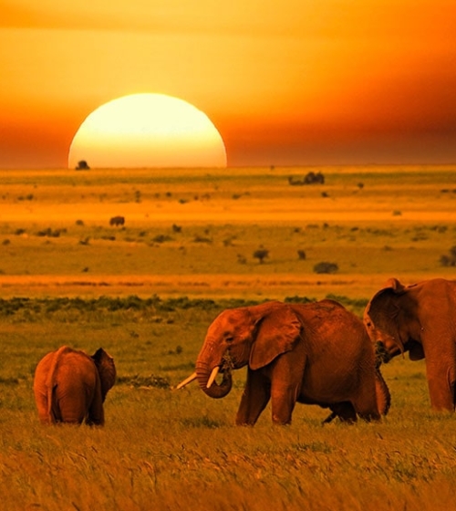 IntoAfrica-Destinos-Kenia-Destacada-min