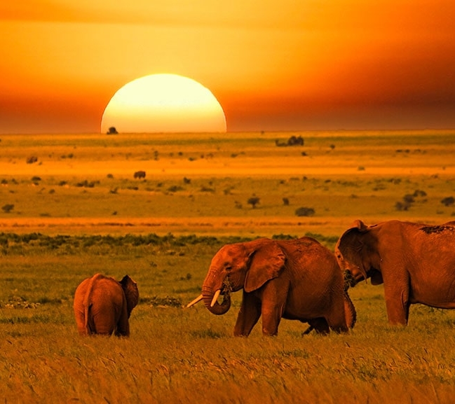 IntoAfrica-Destinos-Kenia-Destacada-min