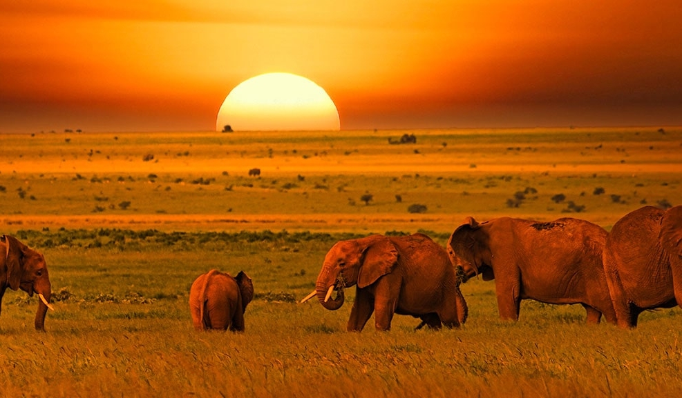 IntoAfrica-Destinos-Kenia-Destacada-min