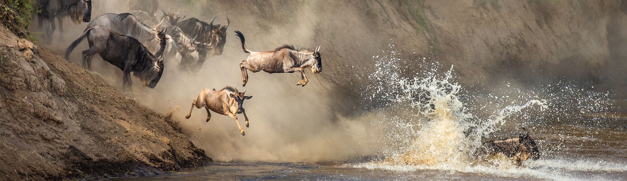 IntoAfrica-Destinos-Tanzania-Destacada-min