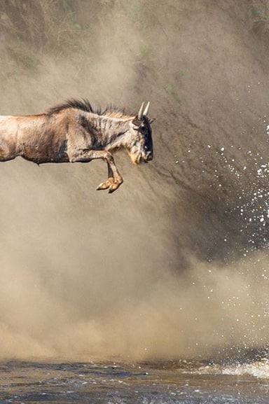 IntoAfrica-Destinos-Tanzania-Destacada-min