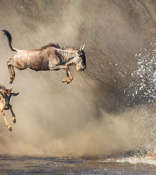 IntoAfrica-Destinos-Tanzania-Destacada-min