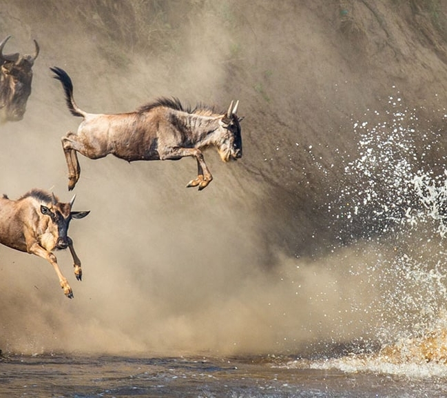 IntoAfrica-Destinos-Tanzania-Destacada-min