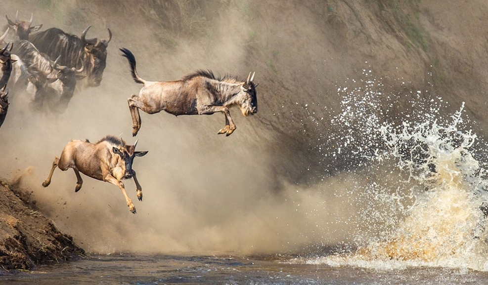 IntoAfrica-Destinos-Tanzania-Destacada-min