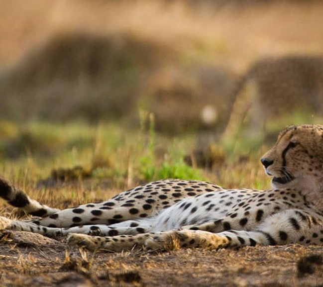 IntoAfrica-Experiencias-Zambia-Rincones-Destacada-min