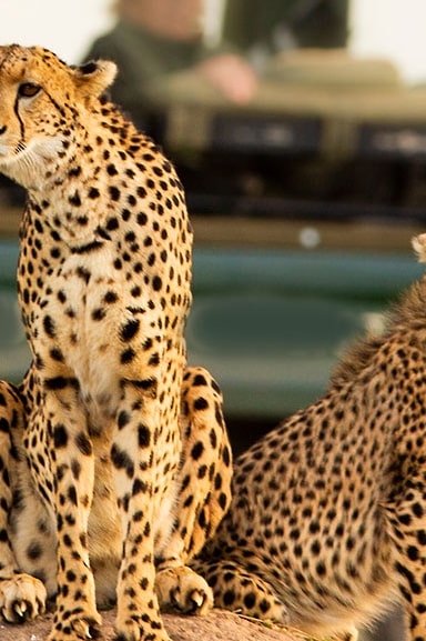 IntoAfrica-Experiencias-Kenia-aMedida-Destacada-min