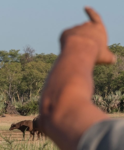 IntoAfrica-Experiencias-Sudafrica-Safari-aPie-Destacada-min