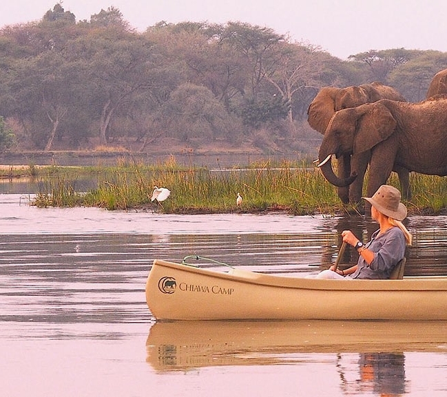 IntoAfrica-Experiencias-Zambia-5Grandes-Destacada-min