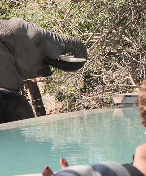 IntoAfrica-Experiencias-Sudafrica-5Grandes-Destacada-min